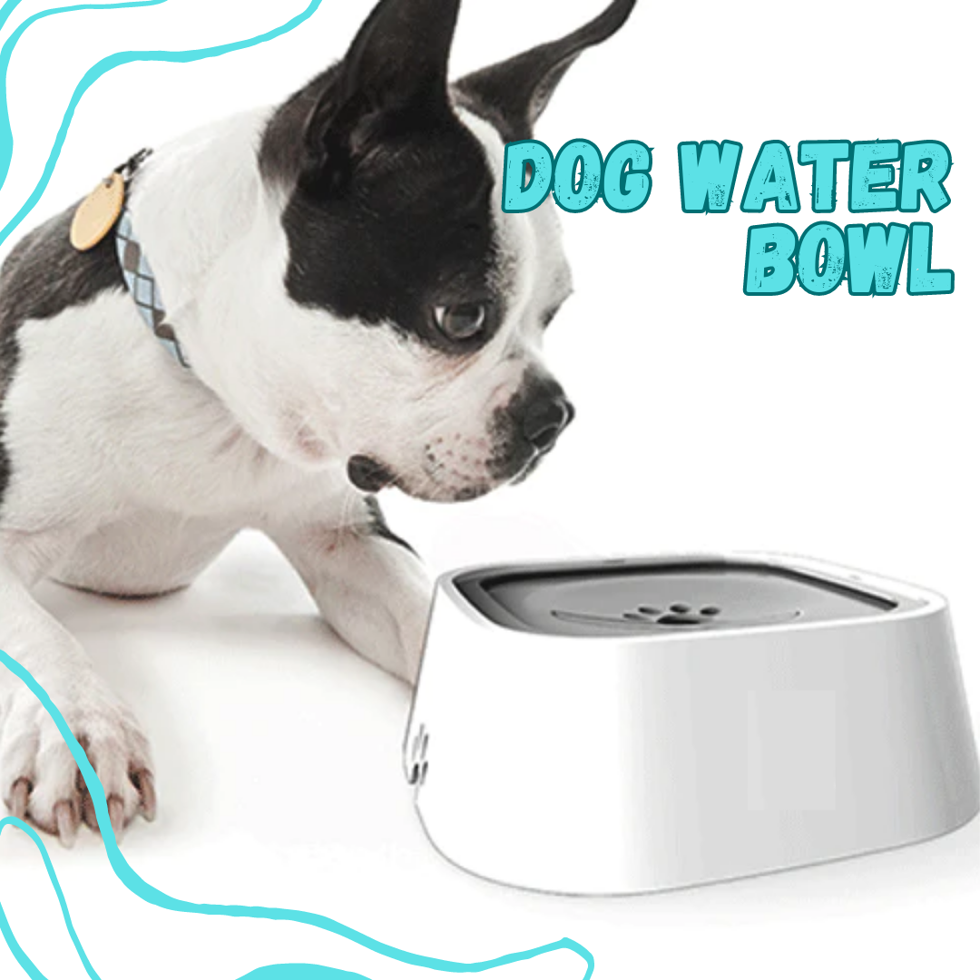 Dog Water Bowl - Dispensador de Agua para Mascotas