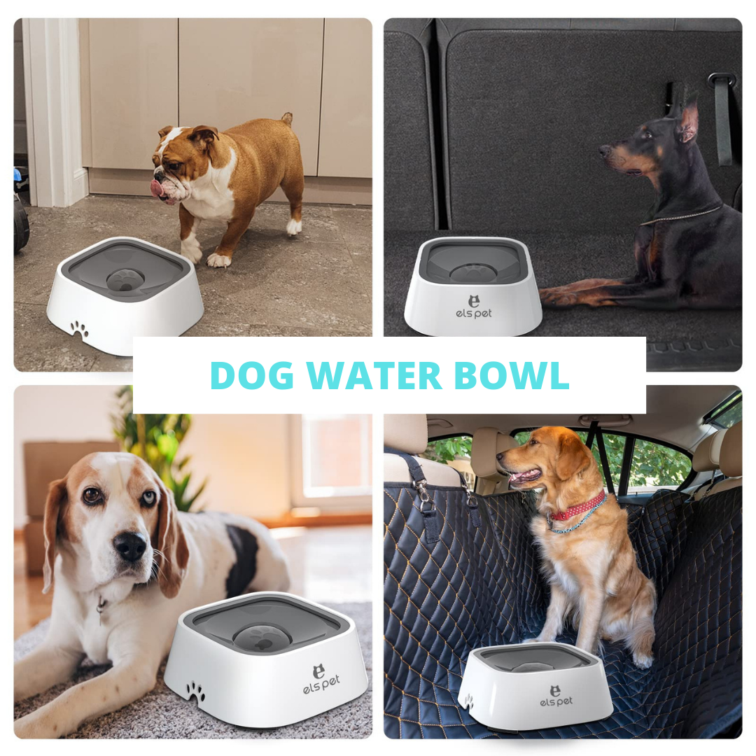 Dog Water Bowl - Dispensador de Agua para Mascotas