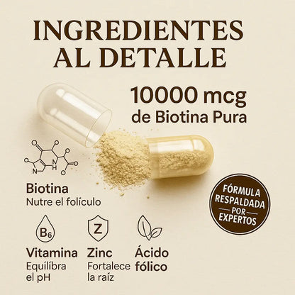 Hair+™ – Cápsulas para Crecimiento Capilar con Hierro Hemo, Biotina y Quercetina para Crecimiento, Densidad y Fuerza – Fórmula Avanzada Natural (120 Cápsulas) – SuperHuman™