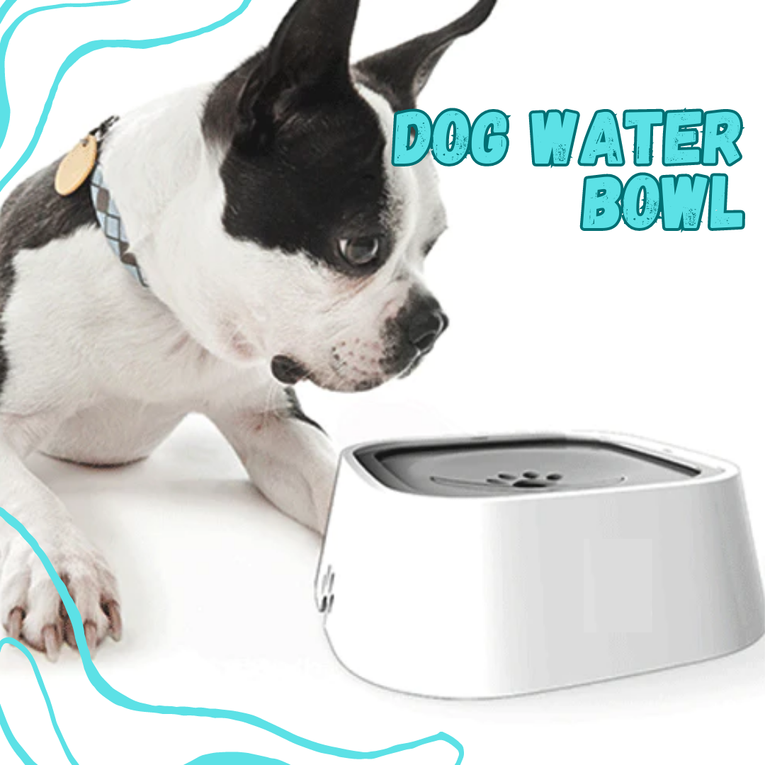 Dog Water Bowl - Dispensador de Agua  para Mascotas