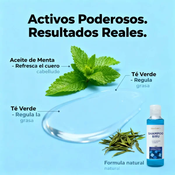 Shampoo Biru™ Anticaspa con Menta y Té Verde – Purifica y Refresca el Cuero Cabelludo - IdeasLabCo™, imagen 3